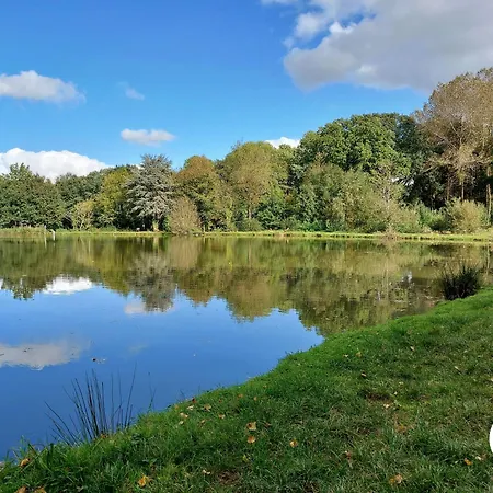 펜션 Le Nid Dans Le Chene Saint-Thomas-de-Courceriers