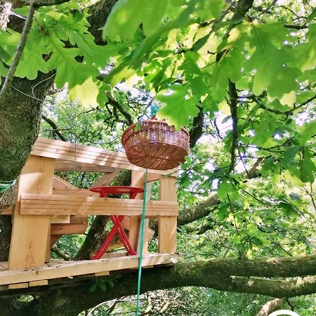 Le Nid Dans Le Chene * Saint-Thomas-de-Courceriers