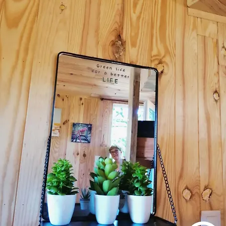 펜션 Le Nid Dans Le Chene Saint-Thomas-de-Courceriers