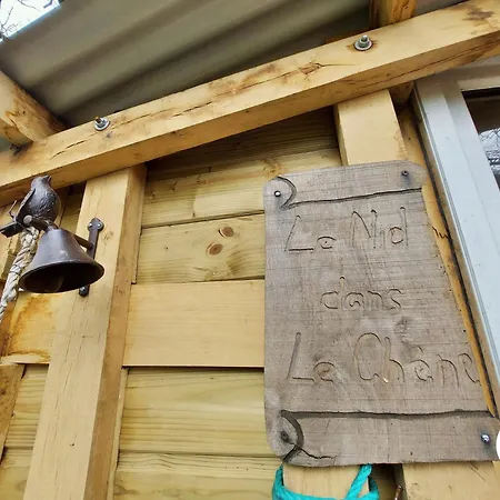 Le Nid Dans Le Chene 펜션 Saint-Thomas-de-Courceriers