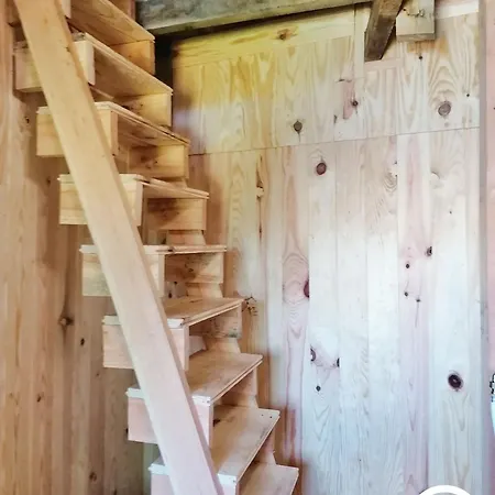 Le Nid Dans Le Chene Saint-Thomas-de-Courceriers