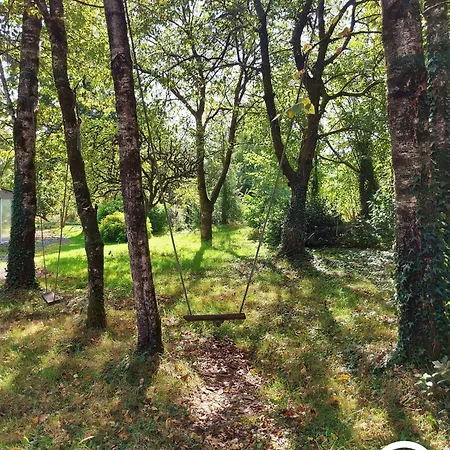 Le Nid Dans Le Chene *