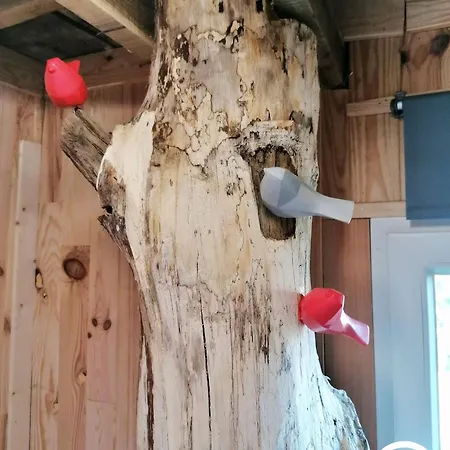 Le Nid Dans Le Chene Saint-Thomas-de-Courceriers