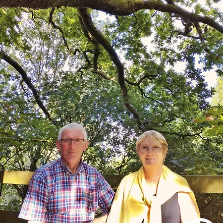 펜션 Le Nid Dans Le Chene