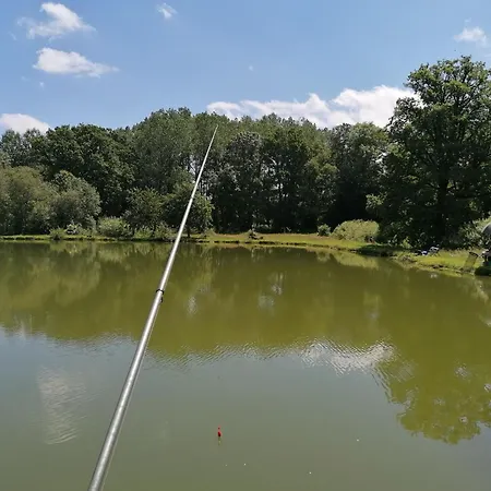 Le Nid Dans Le Chene Saint-Thomas-de-Courceriers