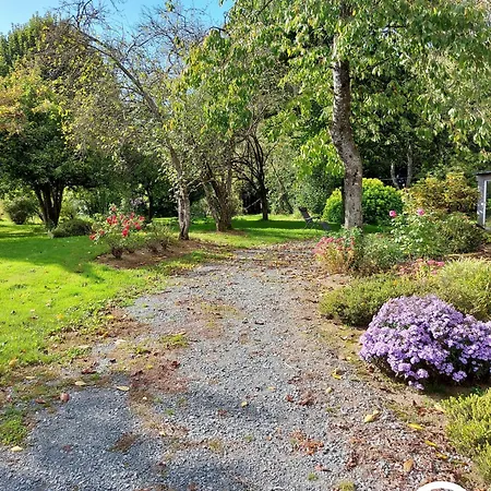 Le Nid Dans Le Chene