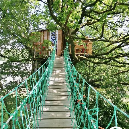 펜션 Le Nid Dans Le Chene Saint-Thomas-de-Courceriers