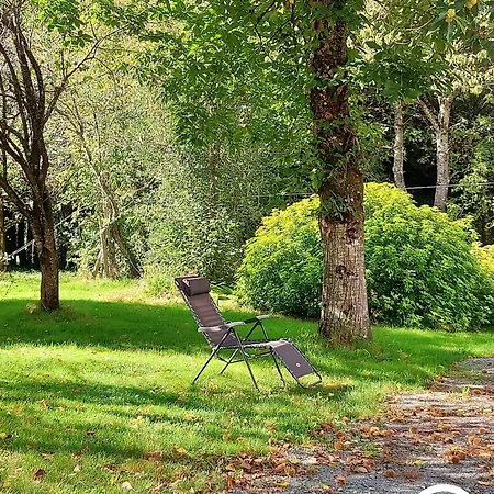 Le Nid Dans Le Chene 펜션 Saint-Thomas-de-Courceriers