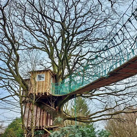 Le Nid Dans Le Chene