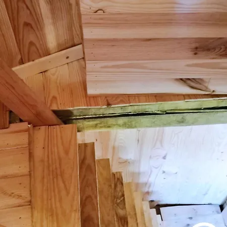 펜션 Le Nid Dans Le Chene