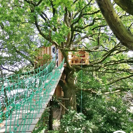 Le Nid Dans Le Chene *