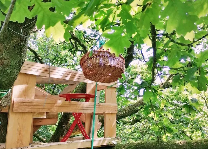 Le Nid Dans Le Chene * Saint-Thomas-de-Courceriers