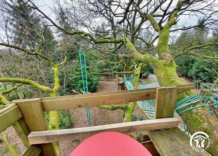 Le Nid Dans Le Chene