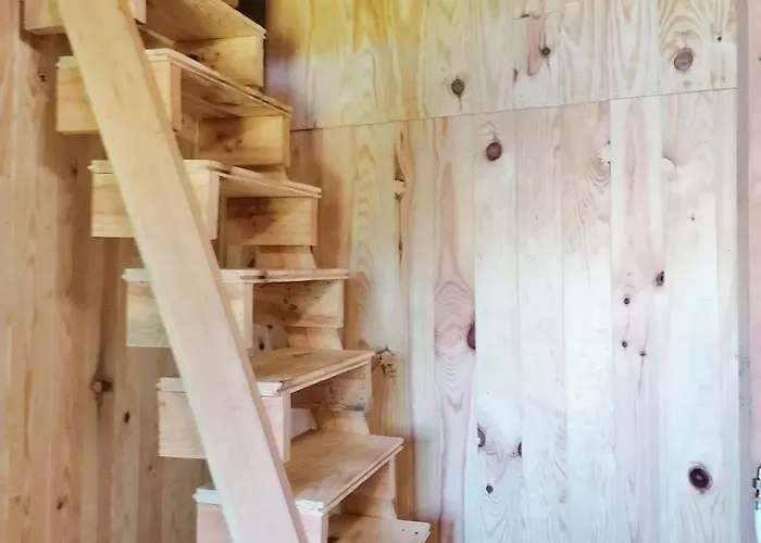 Le Nid Dans Le Chene Saint-Thomas-de-Courceriers