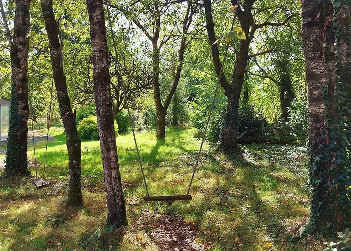 Le Nid Dans Le Chene *