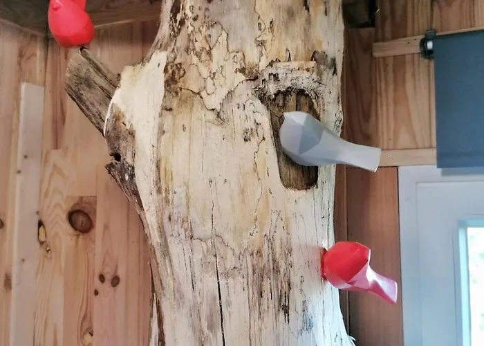 Le Nid Dans Le Chene Saint-Thomas-de-Courceriers