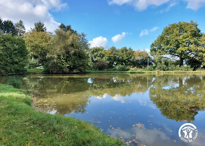 Le Nid Dans Le Chene