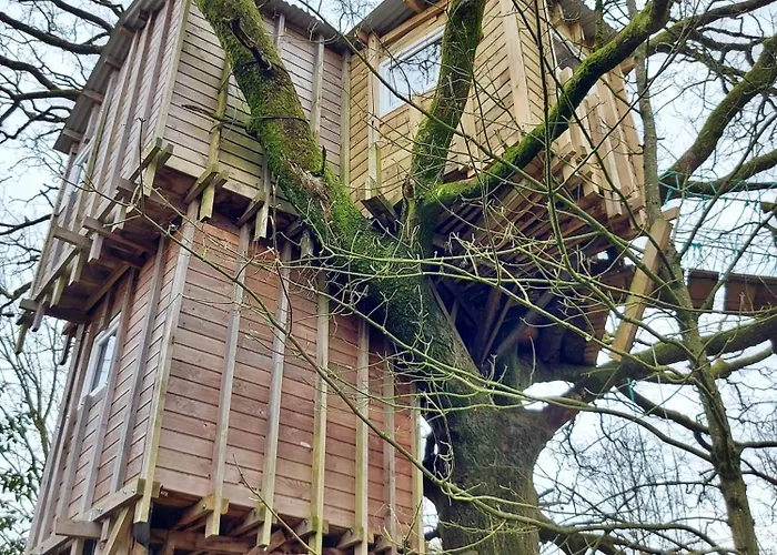 Le Nid Dans Le Chene Saint-Thomas-de-Courceriers