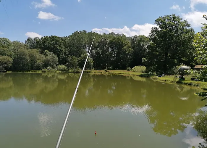 Le Nid Dans Le Chene Saint-Thomas-de-Courceriers