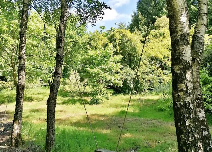 Le Nid Dans Le Chene Saint-Thomas-de-Courceriers