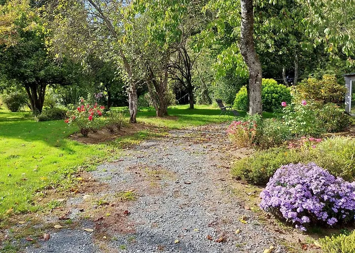 Le Nid Dans Le Chene