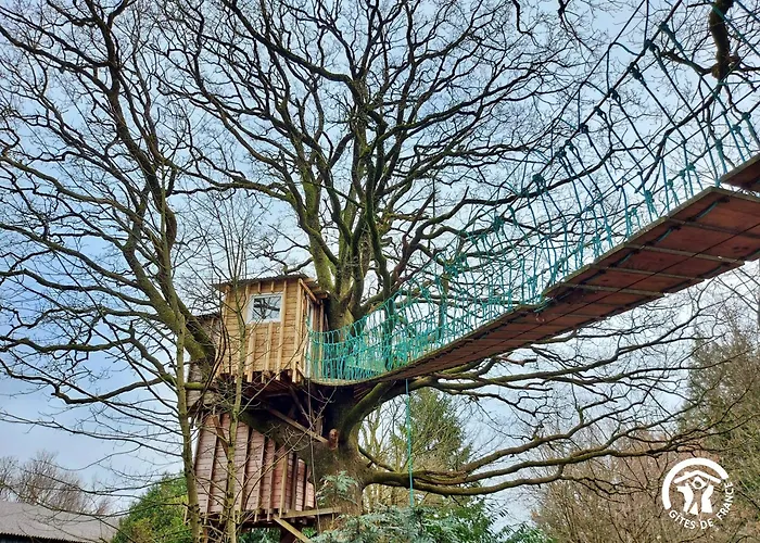 Le Nid Dans Le Chene