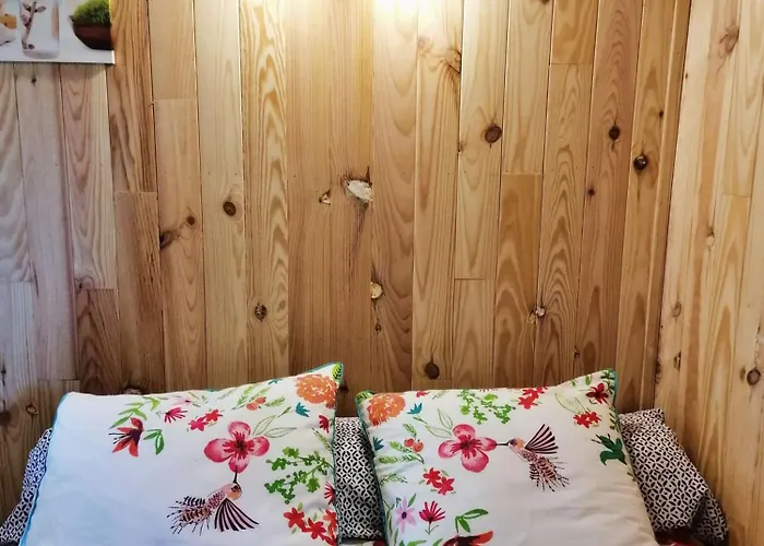 Le Nid Dans Le Chene *