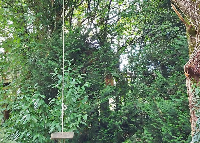 Le Nid Dans Le Chene *