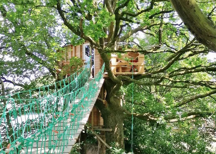 Le Nid Dans Le Chene *