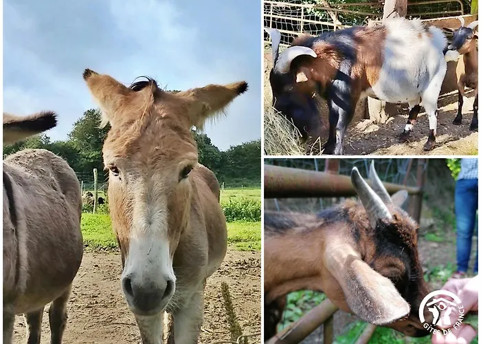 Le Nid Dans Le Chene Prázdninový dům